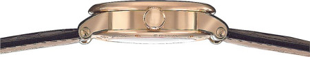 TRILOGIE 10 ROSEGOLD (F-0045284) Часовой шедевр: наручные часы, настольные часы, автоподзавод Erwin Sattler